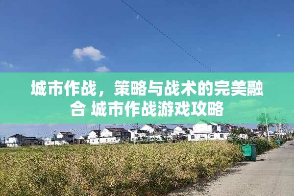 城市作战，策略与战术的完美融合 城市作战游戏攻略