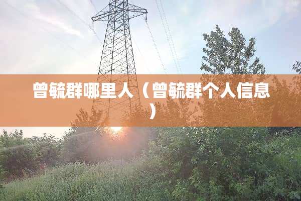 曾毓群哪里人（曾毓群个人信息）