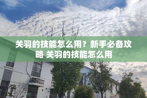 关羽的技能怎么用？新手必备攻略 关羽的技能怎么用