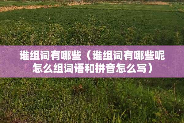 谁组词有哪些（谁组词有哪些呢怎么组词语和拼音怎么写）