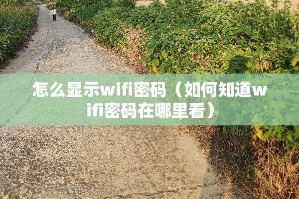 怎么显示wifi密码（如何知道wifi密码在哪里看）