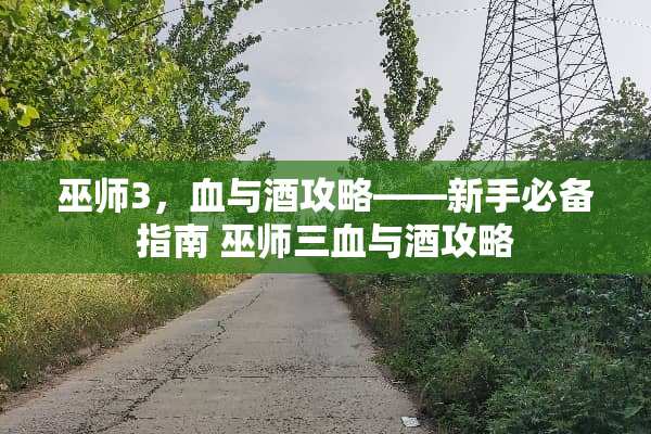 巫师3,血与酒攻略——新手必备指南 巫师三血与酒攻略 巫师3,血与酒攻略——新手必备指南 巫师三血与酒攻略