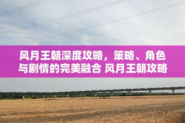 风月王朝深度攻略，策略、角色与剧情的完美融合 风月王朝攻略