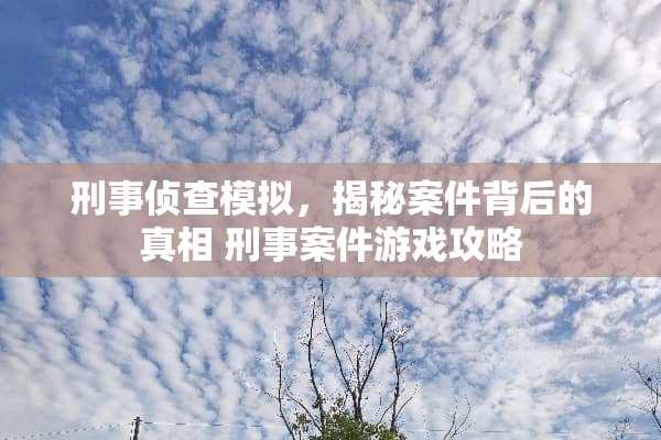 刑事侦查模拟，揭秘案件背后的** 刑事案件游戏攻略