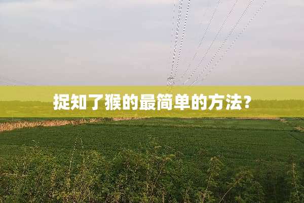 捉知了猴的最简单的方法？