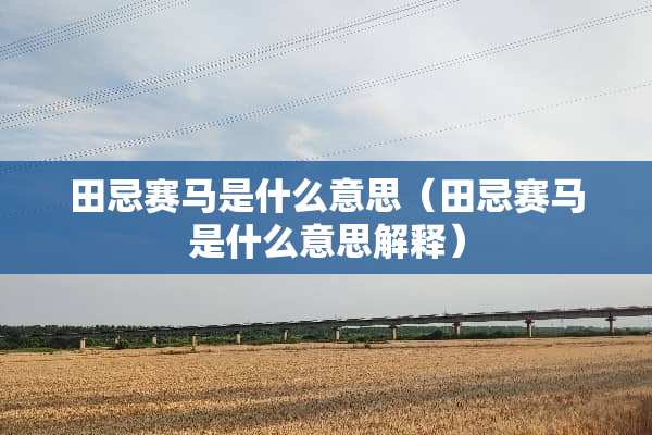 田忌**是什么意思（田忌**是什么意思解释）