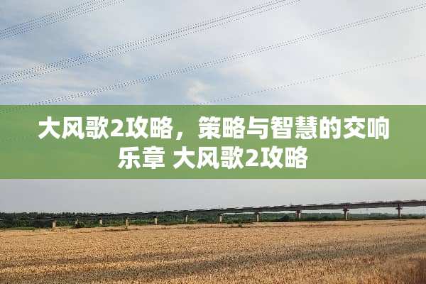 大风歌2攻略，策略与智慧的交响乐章 大风歌2攻略