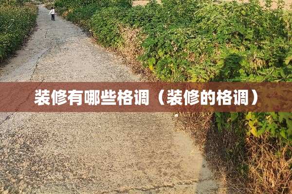装修有哪些格调（装修的格调）