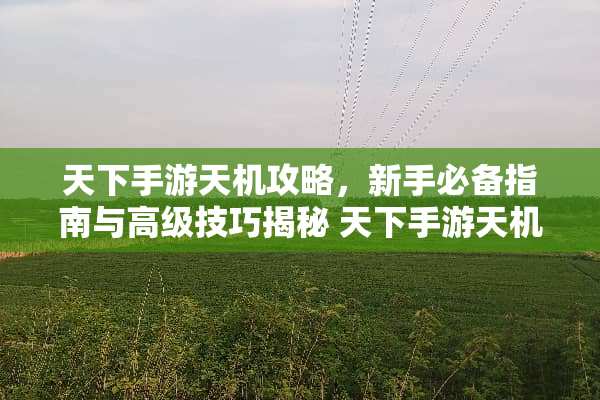 天下手游天机攻略，新手必备指南与高级技巧揭秘 天下手游天机攻略
