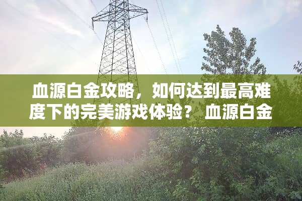 血源白金攻略，如何达到最高难度下的完美游戏体验？ 血源白金攻略