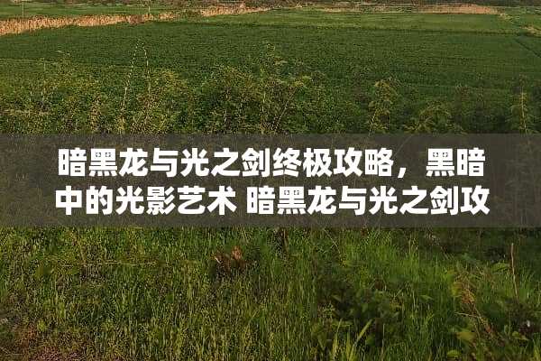 暗黑龙与光之剑终极攻略，黑暗中的光影艺术 暗黑龙与光之剑攻略