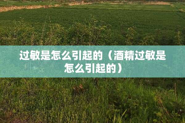 过敏是怎么引起的（酒精过敏是怎么引起的）