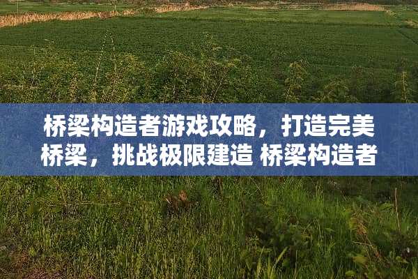 桥梁构造者游戏攻略，打造完美桥梁，挑战极限建造 桥梁构造者游戏攻略