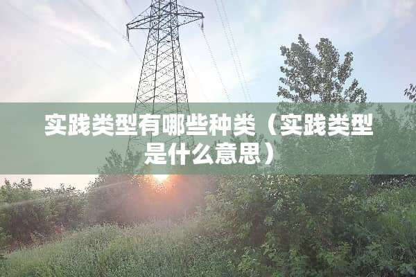 实践类型有哪些种类（实践类型是什么意思）