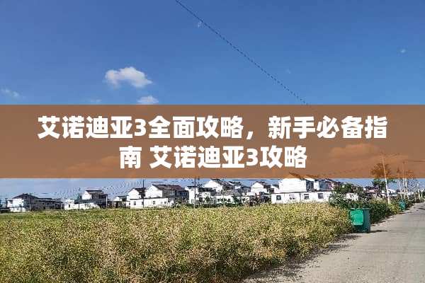 艾诺迪亚3全面攻略，新手必备指南 艾诺迪亚3攻略