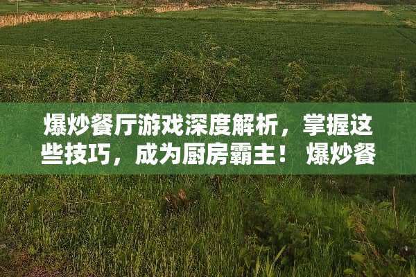 爆炒餐厅游戏深度解析，掌握这些技巧，成为厨房霸主！ 爆炒餐厅玩法