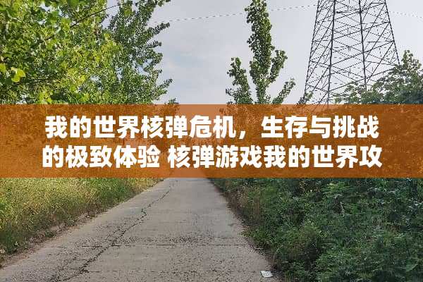 我的世界**危机，生存与挑战的极致体验**游戏我的世界攻略