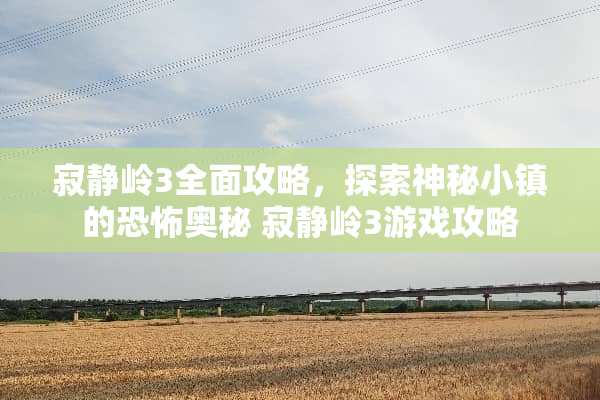 寂静岭3全面攻略，探索神秘小镇的恐怖奥秘 寂静岭3游戏攻略