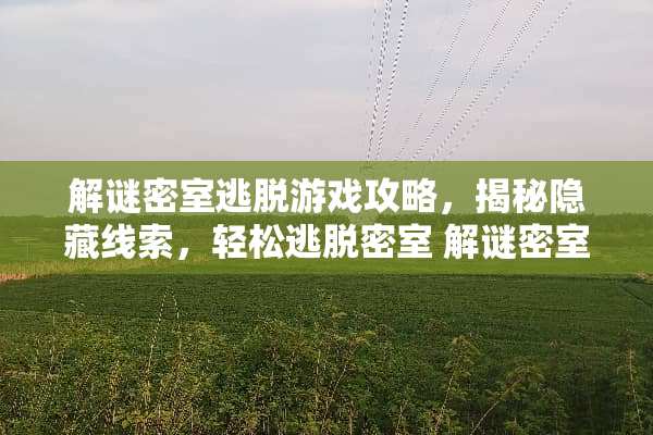 解谜密室逃脱游戏攻略，揭秘隐藏线索，轻松逃脱密室 解谜密室逃脱游戏攻略