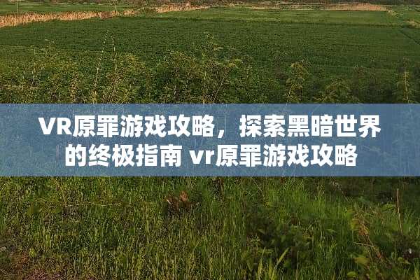 VR原罪游戏攻略,探索黑暗世界的终极指南 vr原罪游戏攻略 VR原罪游戏攻略,探索黑暗世界的终极指南 vr原罪游戏攻略