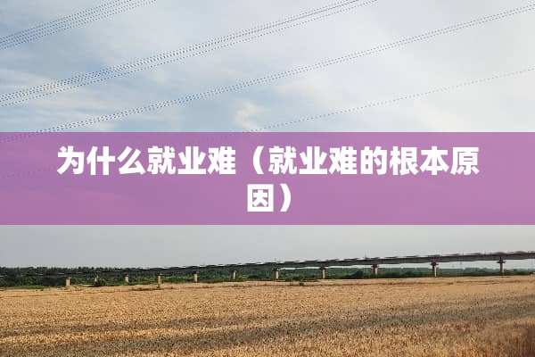 为什么就业难(就业难的根本原因) 为什么就业难(就业难的根本原因)