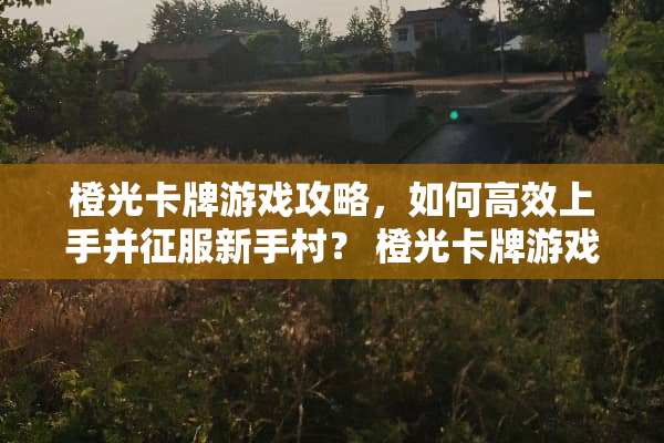 橙光卡牌游戏攻略，如何高效上手并征服新手村？ 橙光卡牌游戏攻略