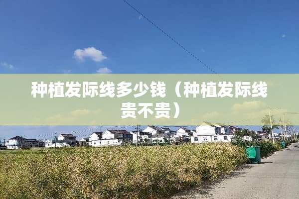 种植发际线多少钱（种植发际线贵不贵）