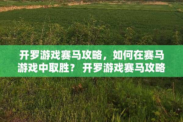 开罗游戏**攻略，如何在**游戏中取胜？ 开罗游戏**攻略