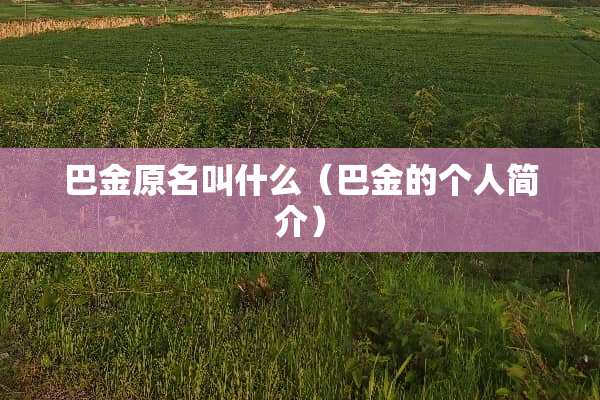 巴金原名叫什么（巴金的个人简介）