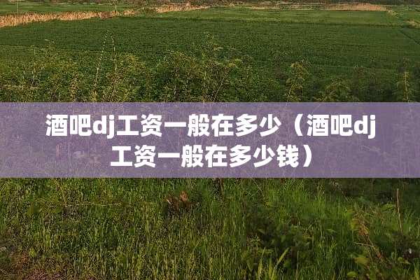 酒吧dj工资一般在多少（酒吧dj工资一般在多少钱）