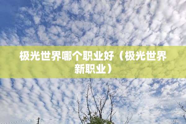 极光世界哪个职业好（极光世界新职业）
