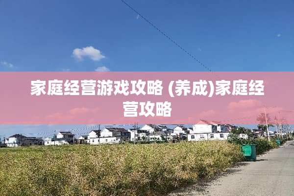 家庭经营游戏攻略(养成)家庭经营攻略