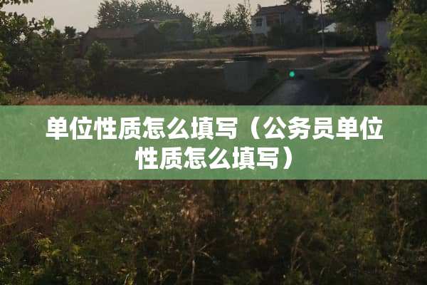 单位性质怎么填写（公务员单位性质怎么填写）