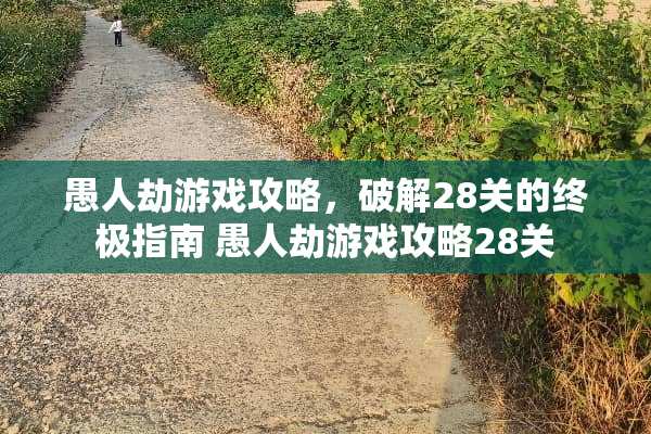 愚人劫游戏攻略，**28关的终极指南 愚人劫游戏攻略28关
