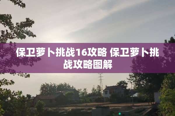 保卫萝卜挑战16攻略 保卫萝卜挑战攻略图解