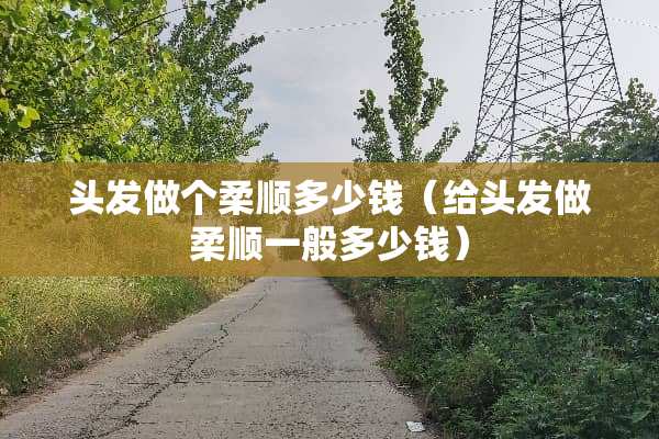 头发做个柔顺多少钱（给头发做柔顺一般多少钱）