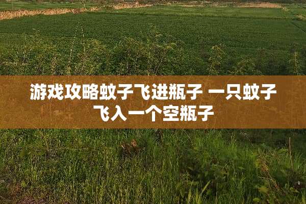游戏攻略蚊子飞进瓶子 一只蚊子飞入一个空瓶子