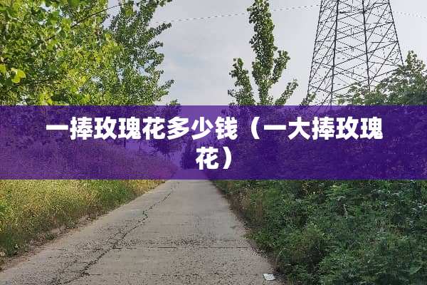 一捧玫瑰花多少钱（一大捧玫瑰花）
