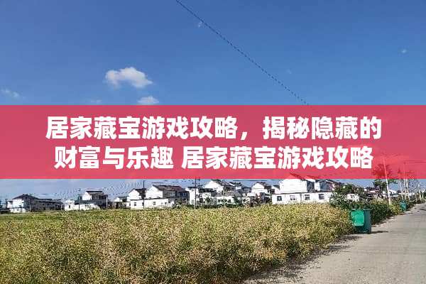居家藏宝游戏攻略，揭秘隐藏的财富与乐趣 居家藏宝游戏攻略