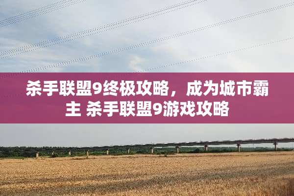 **联盟9终极攻略，成为城市霸主**联盟9游戏攻略