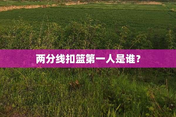 两分线扣篮第一人是谁？