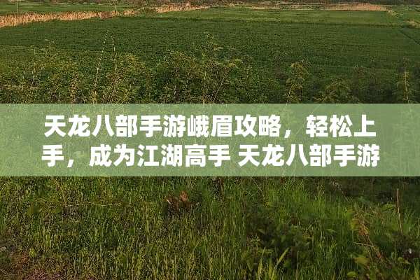 天龙八部手游峨眉攻略，轻松上手，成为江湖高手 天龙八部手游峨眉攻略