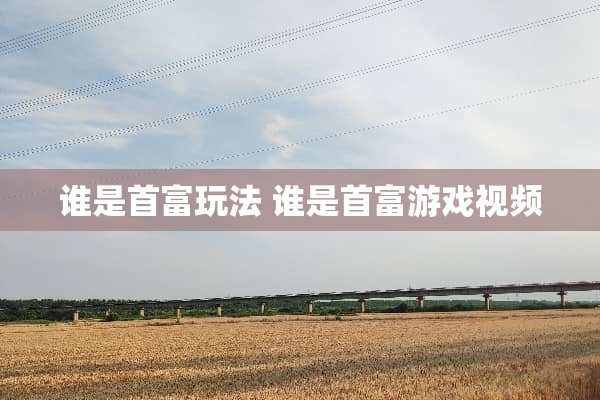 谁是首富玩法 谁是首富游戏视频