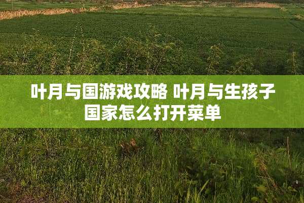 叶月与国游戏攻略 叶月与生孩子国家怎么打开菜单