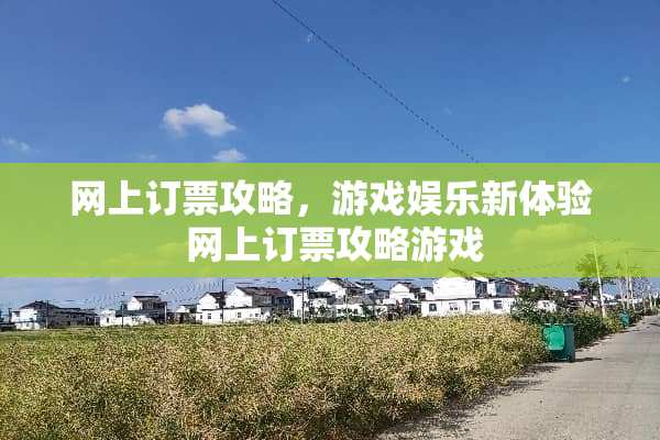 网上订票攻略，游戏娱乐新体验 网上订票攻略游戏