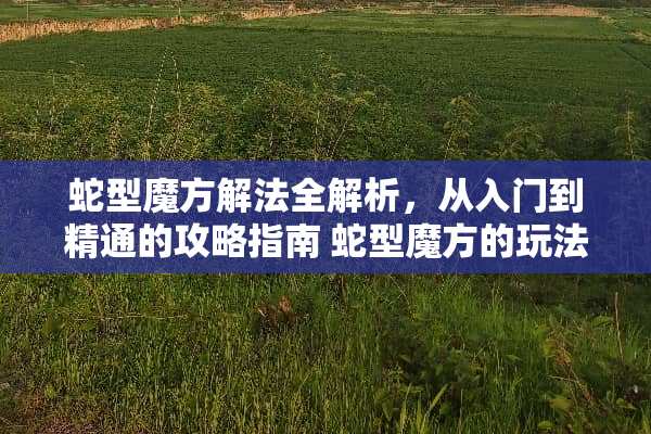 蛇型魔方解法全解析，从入门到精通的攻略指南 蛇型魔方的玩法图示