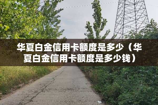 华夏白金***额度是多少（华夏白金***额度是多少钱）
