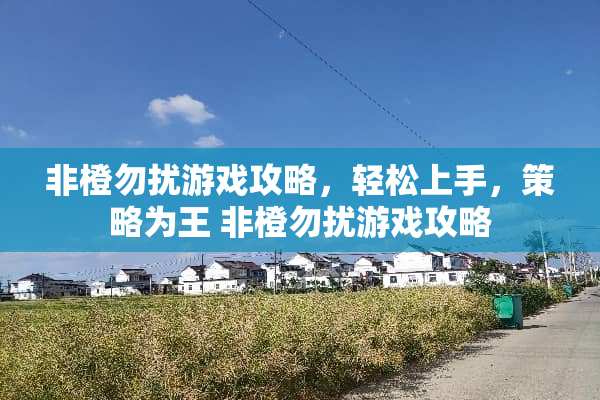 非橙勿扰游戏攻略，轻松上手，策略为王 非橙勿扰游戏攻略