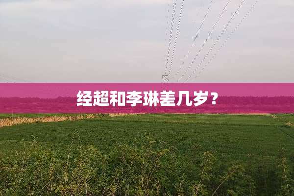 经超和李琳差几岁？