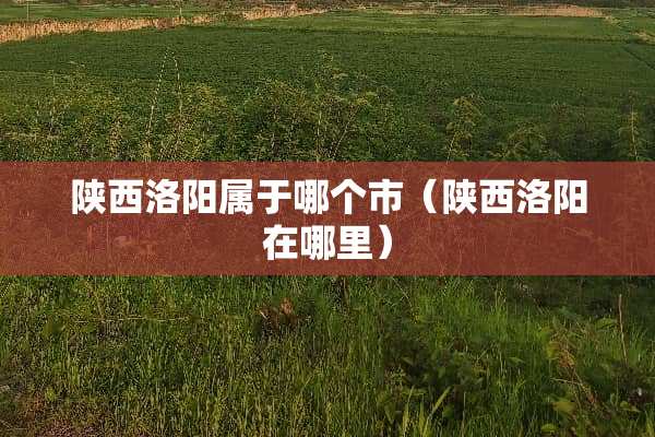 陕西洛阳属于哪个市（陕西洛阳在哪里）